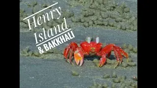 Trip to Henry island and Bakkhali || see till the end