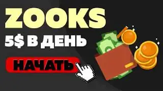 Экономическая игра Zooks Family обзор