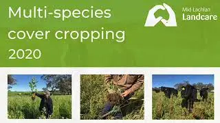 Multi-species cover cropping 2020 in the Mid Lachlan Landcare Region