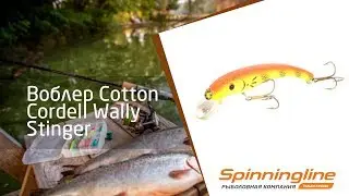 Воблер Cotton Cordell Wally Stinger