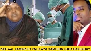 SUBXAANALAH MAMO SOMALIYEE OO ISBITAAL XAMAR KU YAALO OO XAMITIDA LAGA BAXSADAY MAXKAMADA DAAHIR