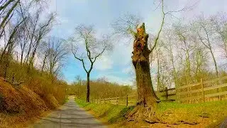 I Was Chased Off of Devil's Road