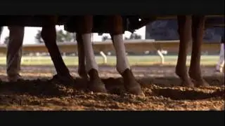 Horses - I dare you to move