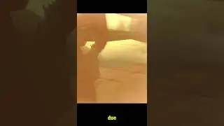 Decoy Octopus's Scrapped Boss Fight Explained