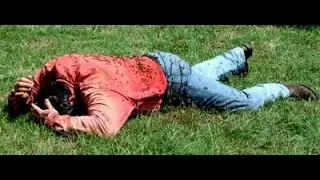 WorldNewsReport People stung in Phoenix bee attack -