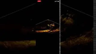 Lowrance Active Target down view