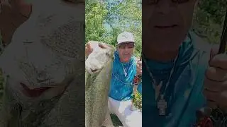 THE CHASE IS ON!!! #NON STOP #BASS FISHING
