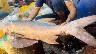Giant Indian Salmon Fish || Amazing Big Lakka Fish Cutting Skills