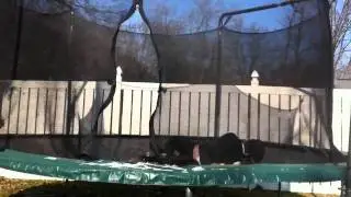 A BSapproved music video