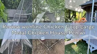 Review wonline Chicken Coop Large Metal Chicken House/Pen with Climbing Frame for 15-20 Chickens, Ou