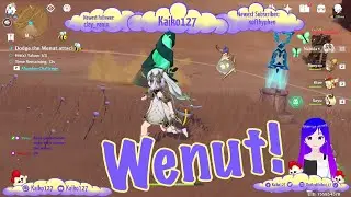 Wenut Attacks - Kaiko&rsquo;s Genshin Highlights 134