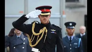 Prince Harry military titles spark fierce debate among fans   'He chose to give them up!'.