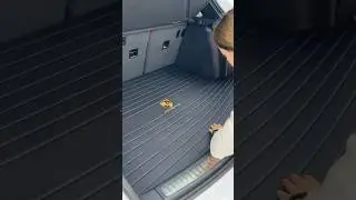 Custom Trunk Mat Solutions: Perfect Fit #phonk #music #anime #animeedit #song #automobile #audio