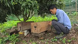 Splitting a bee colony on the spot to multiply it is a mistake — it results in a 100% failure rate