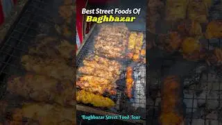 Best Street Food Of Baghbazar | Neelachal Bros Kebab & More | Baghbazar Street Food Tour | SSR