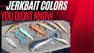 Jerkbait Colors YOU DIDN'T KNOW - pt.1