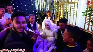 كريم ناعوس مرقص خمس عرسان فى فرح واحد مع محمد الخواجه فرحه اولاد عرب الشافعى الترند افراح فيتو مصر