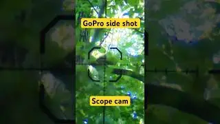 Squirrel hunting#gopro side shot # scope cam