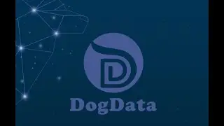 Изучение команды Dogdata