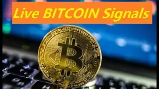 Live Bitcoin Ethereum Litecoin Ripple Signals, BTC | ETH | LTC | XRP | UST Big Data Analysis