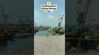 Visakhapatnam Fishing harbour 🐠 🚢⚓#fishing #fishingharbour #fish #ship #boats