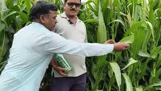 Maka crop netsurf Biofit organic product Banat result contact 9730413801