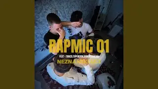 RAPMIC 01