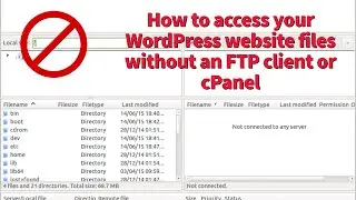 How to access your WordPress website files without an FTP client or cPanel