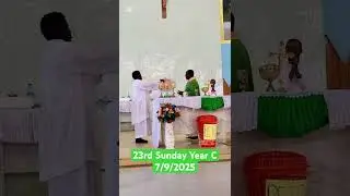 Happy Sunday!!! #viral #love #catholicdevotion #theyearoftheholyghost #catholic