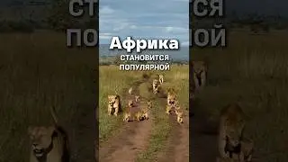 ПОЛЕТЕЛИ В АФРИКУ?🦁