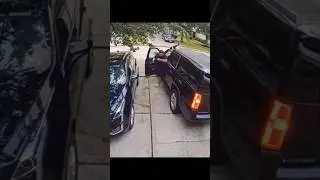 Cat caught it's paws in the car door 🐈😿🐾 CarDoorIncident#CatSafety#AnimalRescue#CatsInTrouble