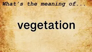 Vegetation Meaning : Definition of Vegetation