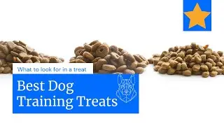 Best dog training treats