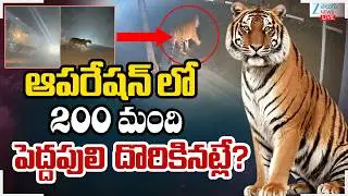 LIVE: High Alert In Rajahmundry Live Updates | Tiger Spotted at Diwancheruvu | ZEE Telugu News