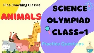 ✅️ NSO Class-1 🔴 Animals Chapter-3 ✳️ Practice Questions 💯 Science Olympiad