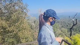 Family vlog 🤗 ghost tree 🌴😱 - Achanakmar tiger reserve jungle safari 