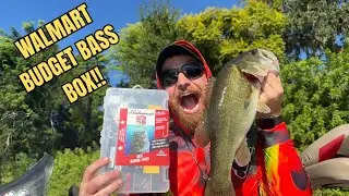 WALMART FISHING KIT CHALLENGE (BUDGET BASS FISHING)