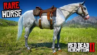 5 Rare Appaloosa Horses (Location & Rankings) - RDR 2