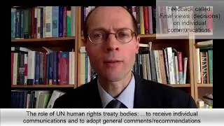 Protecting human rights at international level