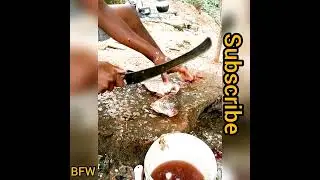 #fishcutting#fishworld#Lakefishjalebi#funnyvideos#Chennaifishcutting#colorfish#Indianfish#TNfish#BFW