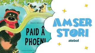 Paid â Phoeni | Amser Stori Atebol