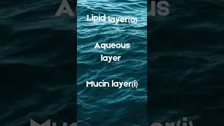LAM before you cry🥲 here&rsquo;s the tear film in 10 seconds #themedchronicles #viral #mbbs #neetpg #fyp