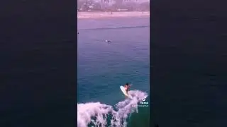 Surfer girl at doheny