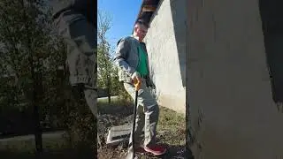 Альбиция