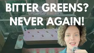 Click and Grow Review: This Garden Grows What Your Hot and Humid Garden Can't