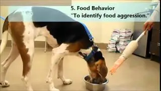 SAFER VIDEO