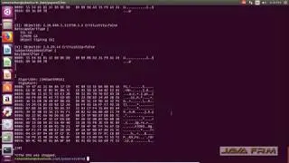 Payara Server 5 Installation on Ubuntu 16.04 LTS | Payara Application Server 5.194