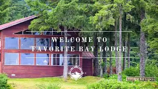 Top 6 Unforgettable Experiences at Favorite Bay Lodge | Alaska Luxury Adventure