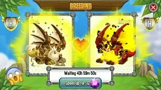 Dragon city:Clarity dragon+Reason dragon:Breeding 2017