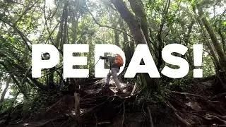 Jalur Pedas bikin Kaki Panas: Tektok Gunung Sagara via Sagara | VIRTUAL HIKING